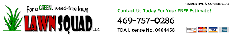 LAWN SQUAD - 469-757-0286