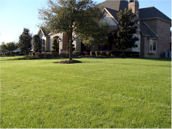 Customer lawn