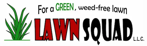Lawn Squad